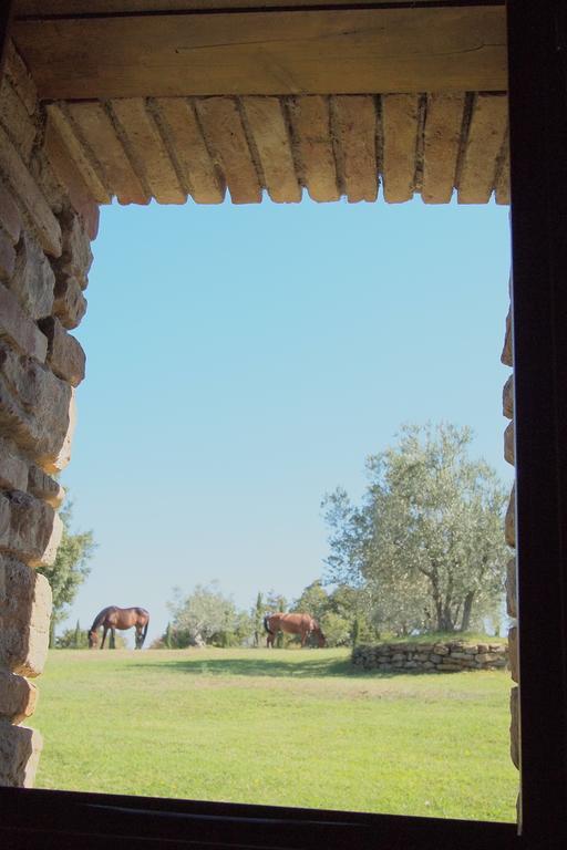 Podere Campovecchio Rapale Habitación foto